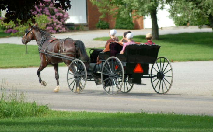 Amish