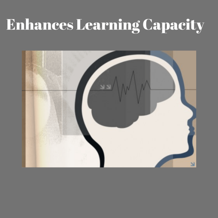 enhancing learning capacity