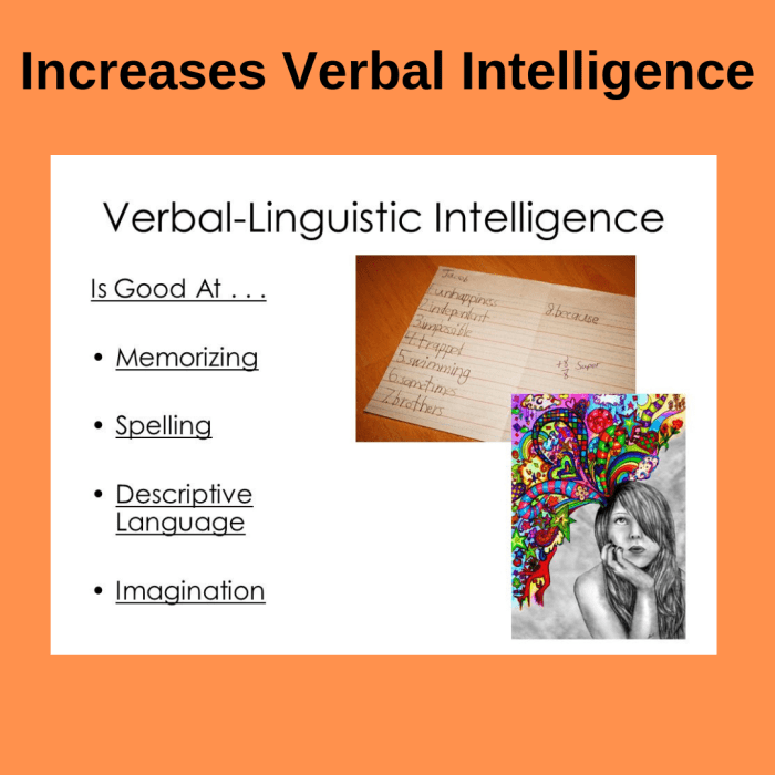 Verbal Intelligence